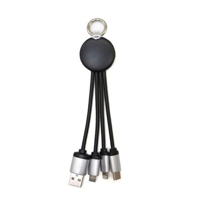 Light up Logo 4 in 1 Charging Cable
